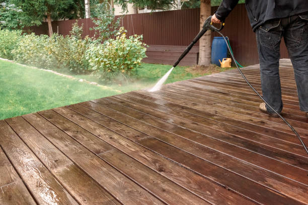 Best Roof Washing  in Swartz Creek, MI